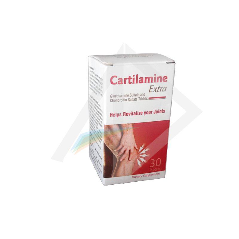 Cartilamine 500/400mg Glucosamine & Chondroitin - 1 Strip of 10 Tablets